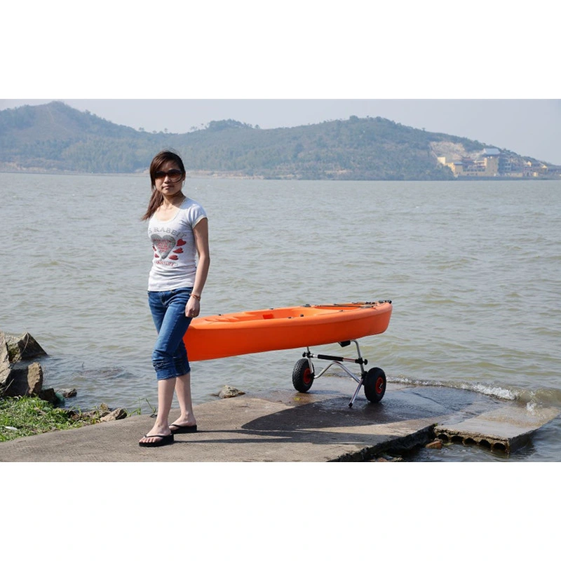 Carro Kayak