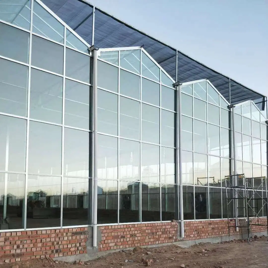 Agricultura Polycarbonate Greenhouses com sistema de irrigação sistema de Aquecimento para legumes Frutas flores alface de pimenta