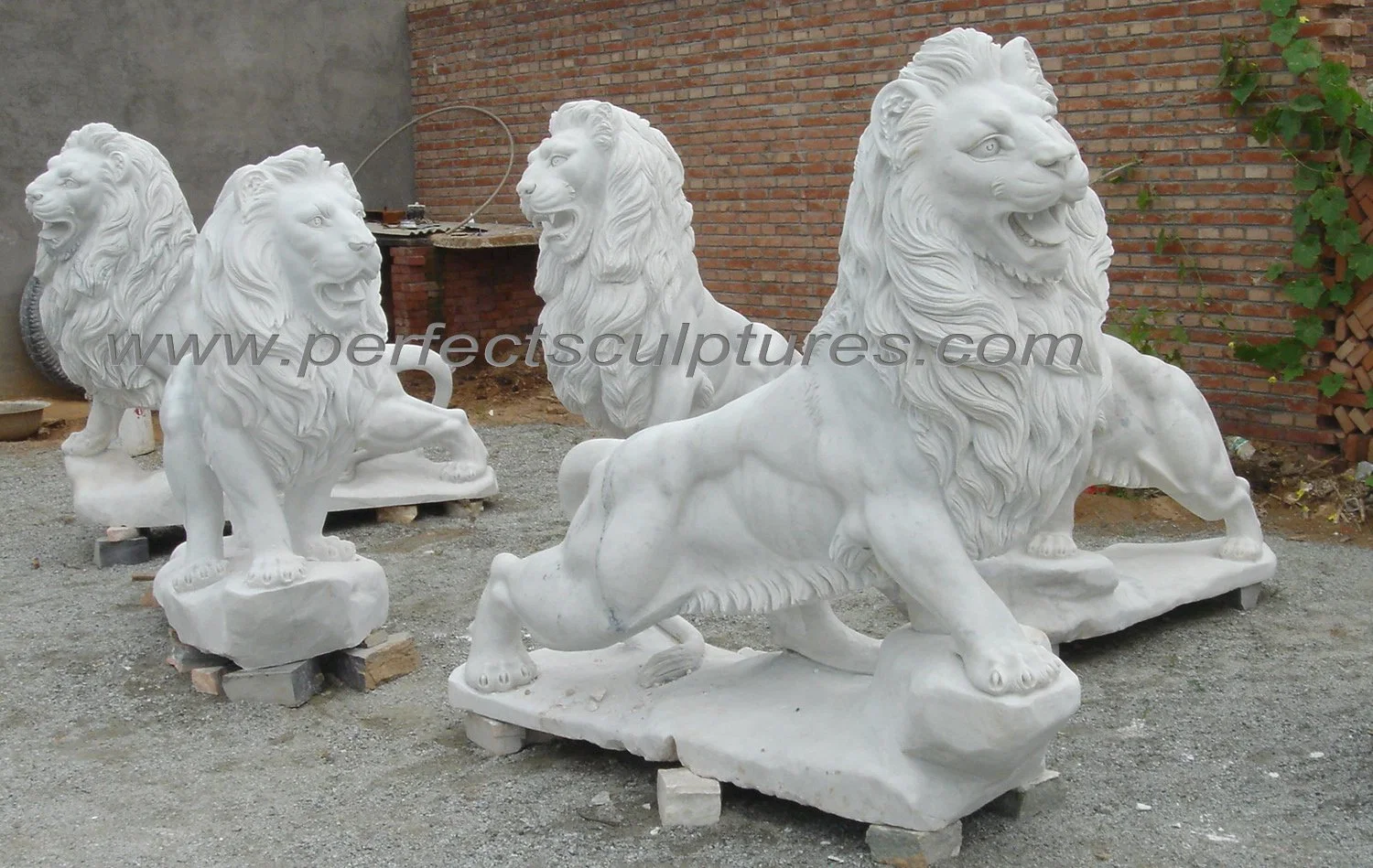 Garden Life Size Carved Stone Animal Sculpture White Marble Carving Lion Statue for Outdoor (SY-D047)