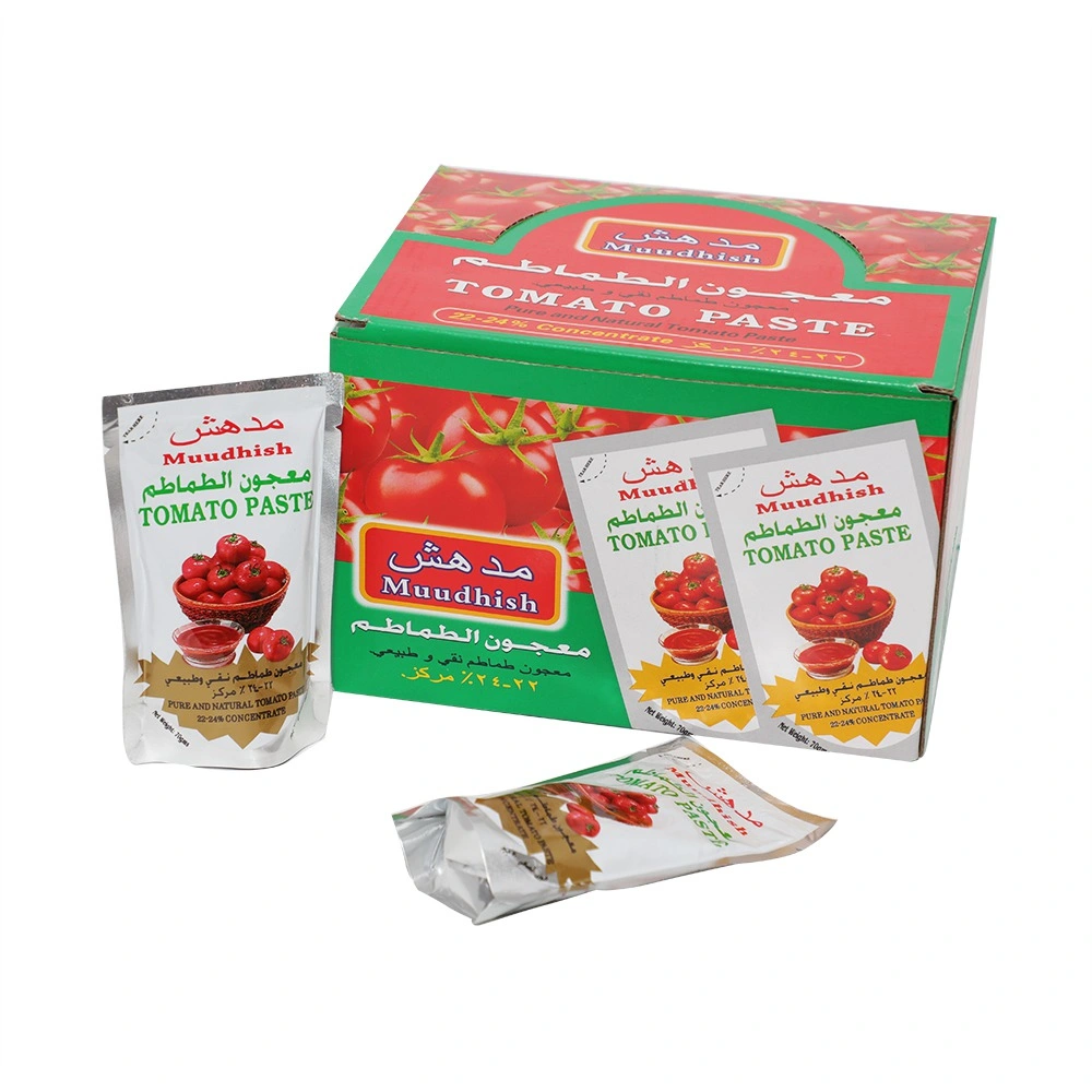Canned Tomato Paste in Sachet 70g