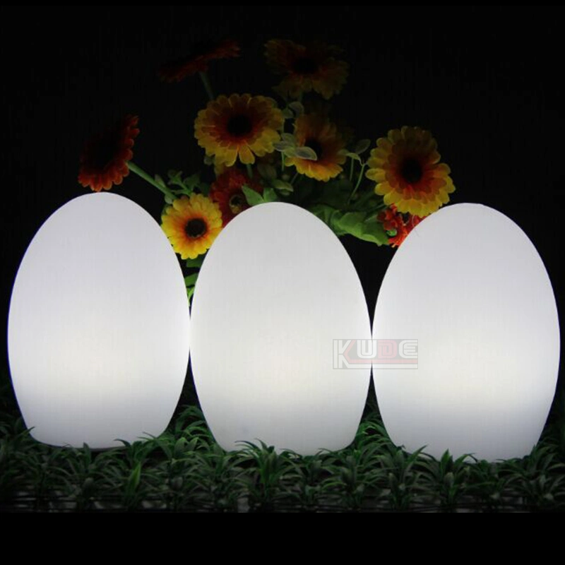 Outdoor Lighting Xmas Gift LED Christmas Decoration