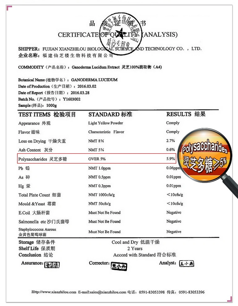 Extracto de Ganoderma en polvo Reishi Lingzhi en polvo de setas Reishi con USDA Organic