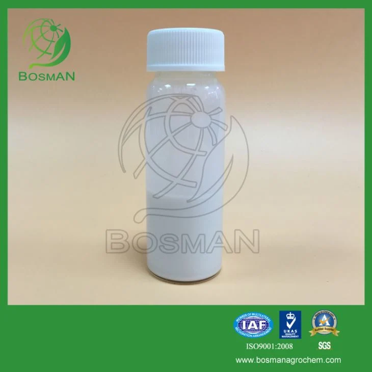 Agrochemicals Insecticide Spirodiclofen 240g/L SC 98% TC 34% SC