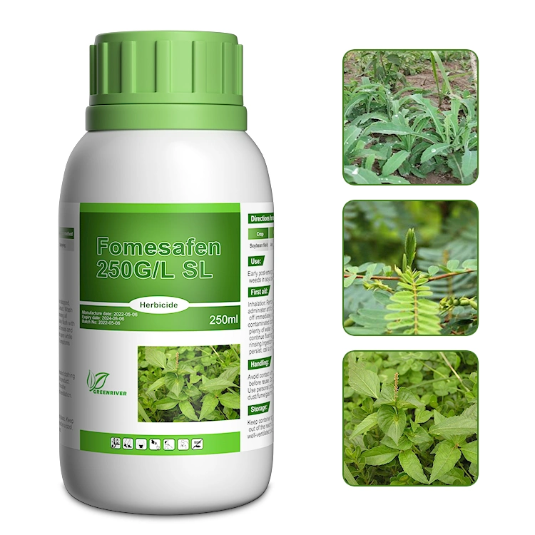 Herbicide Fomesafen 250g/L SL CAS 72178-02-0