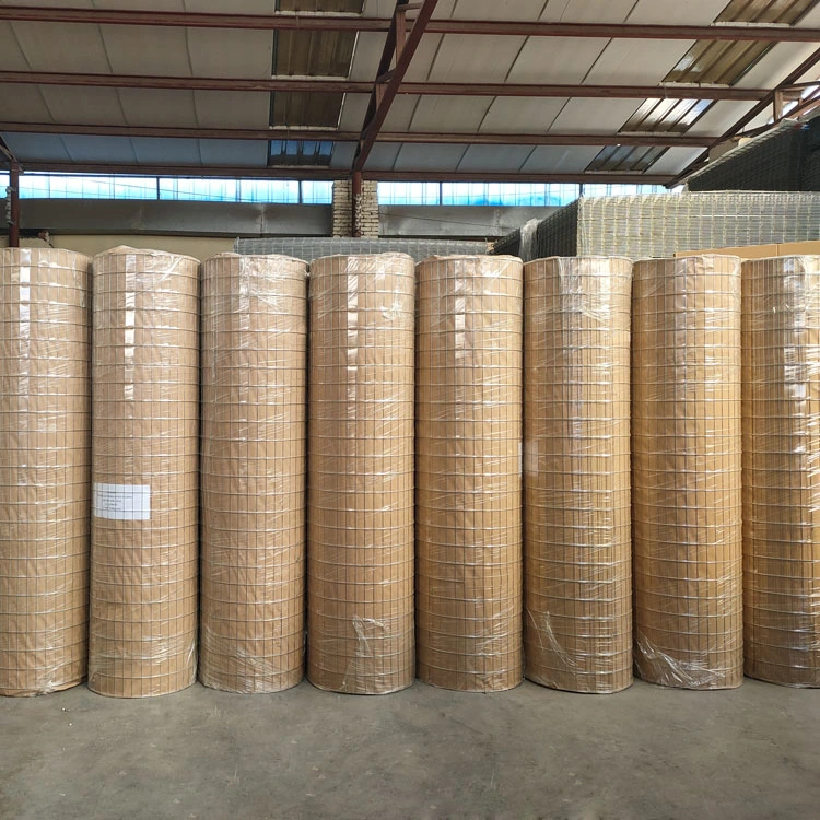 1/4 Inch Galvanized Welded Wire Mesh