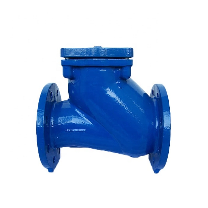 Ductile Cast Iron Dn250 Pn16 Double Flanged Ball Check Valve for Drinking Water