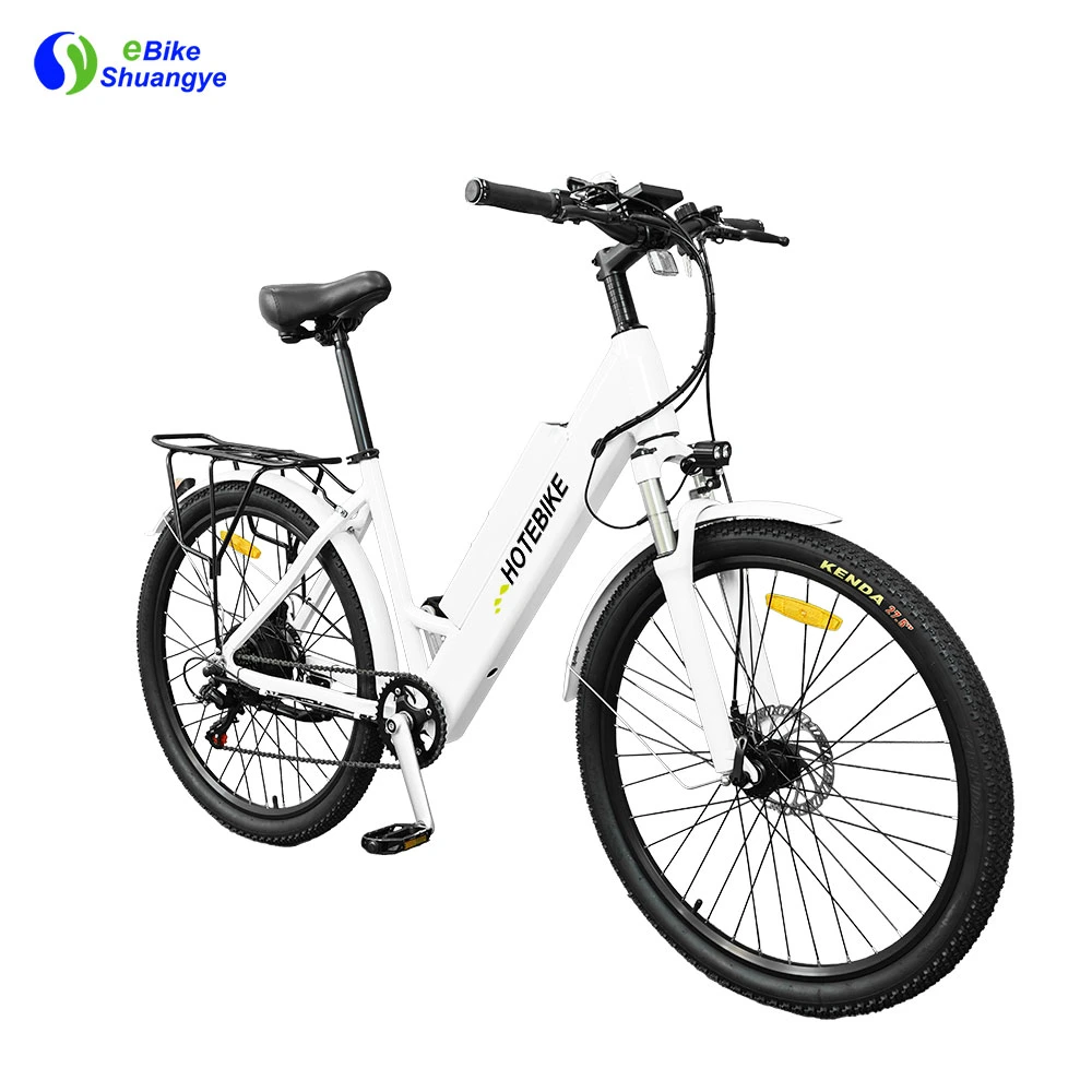 Fahrrad aus Aluminiumlegierung 36V 250W 350W 500W 750W 60km 25-45km/H 48V 1000W Elektro-Fahrräder für Erwachsene