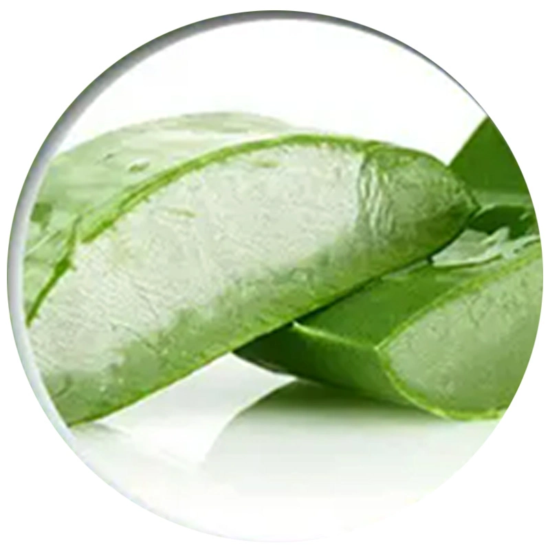 Jianyuan Supply Aloe Vera Extract Powder 10% 98% Aloin CAS 5133-19-7