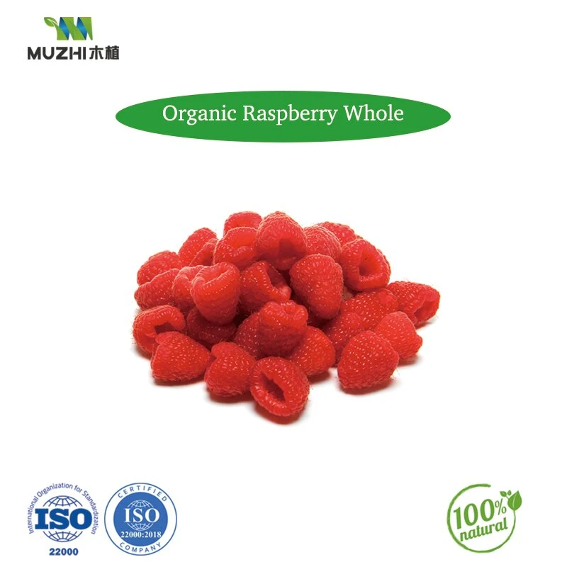 Wholesale/Supplier 25kg 50kg Bag Organic Sucralose Stevia Monk Fruit