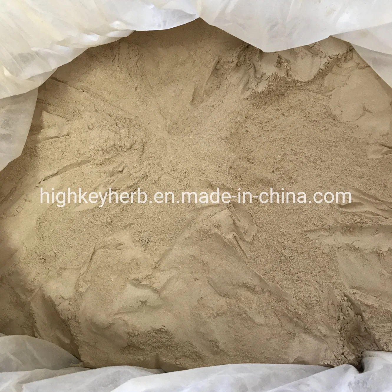Xiang Gu Fen Wholesale/Supplier Bulk Lentinus Edodes Extract Organic Shiitake Mushrooms Powder