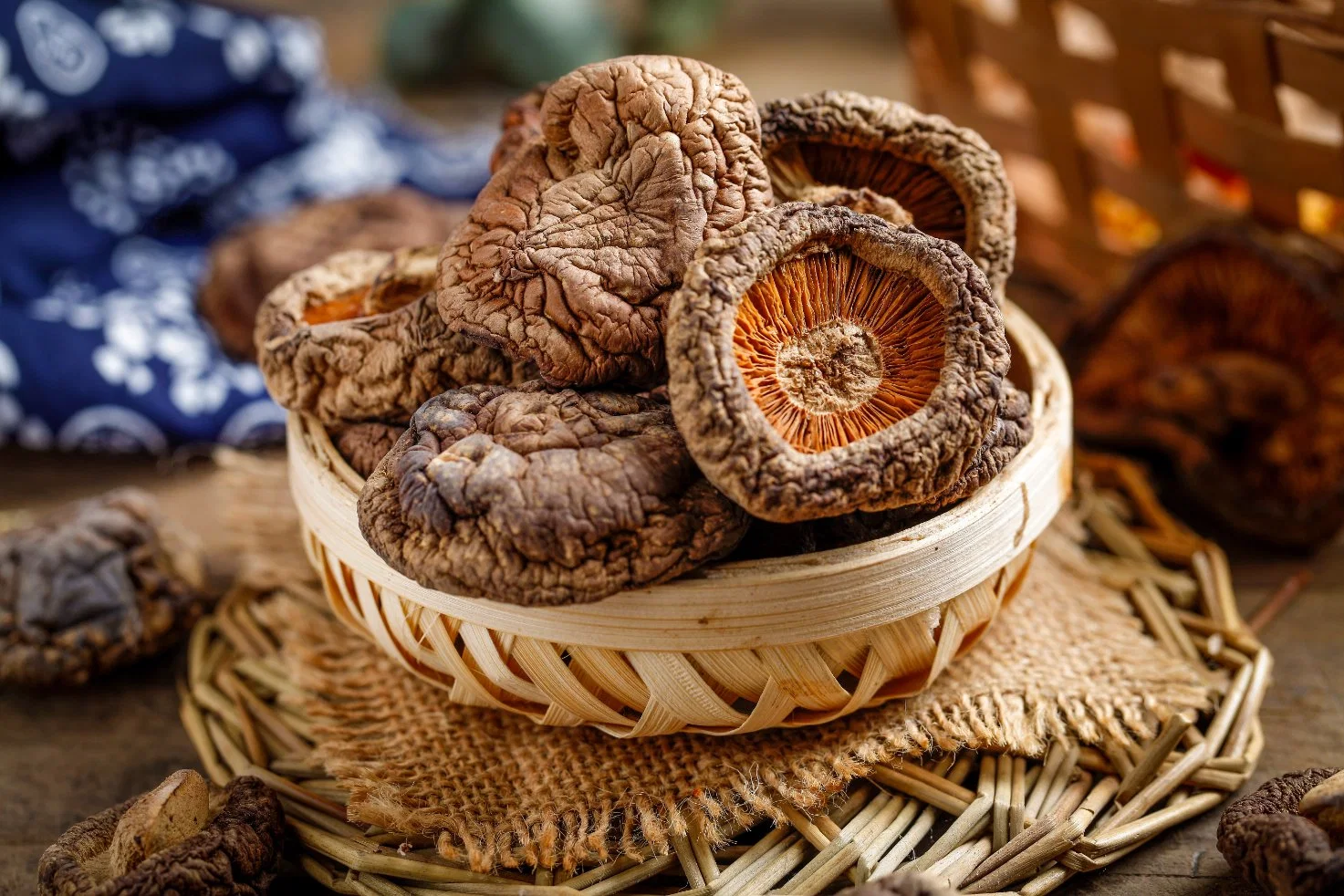 USDA Kosher orgânicas certificadas cogumelo Shiitake em pó para melhorar a imunidade