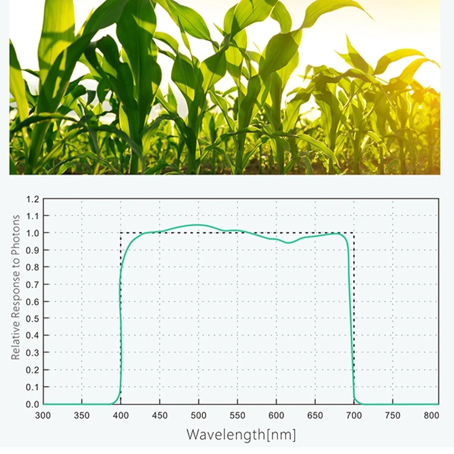 Portable Quantum Light Meter Agriculture Plant Detect Equipment