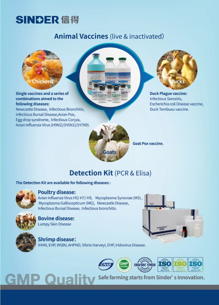 Real-Time PCR Detection Kit for African Swine Fever Virus