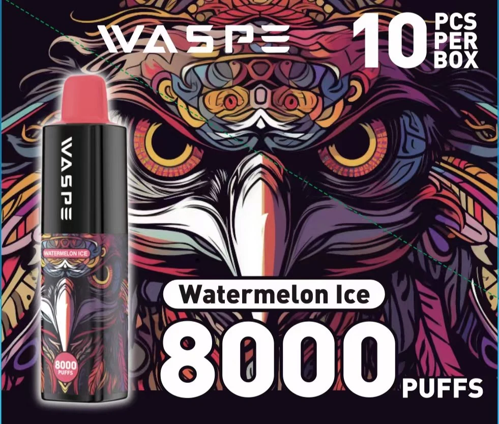 2023 Wholesale/Supplier Disposable/Chargeable Waspe Vape up to 8000puffs Disposable/Chargeable Vape