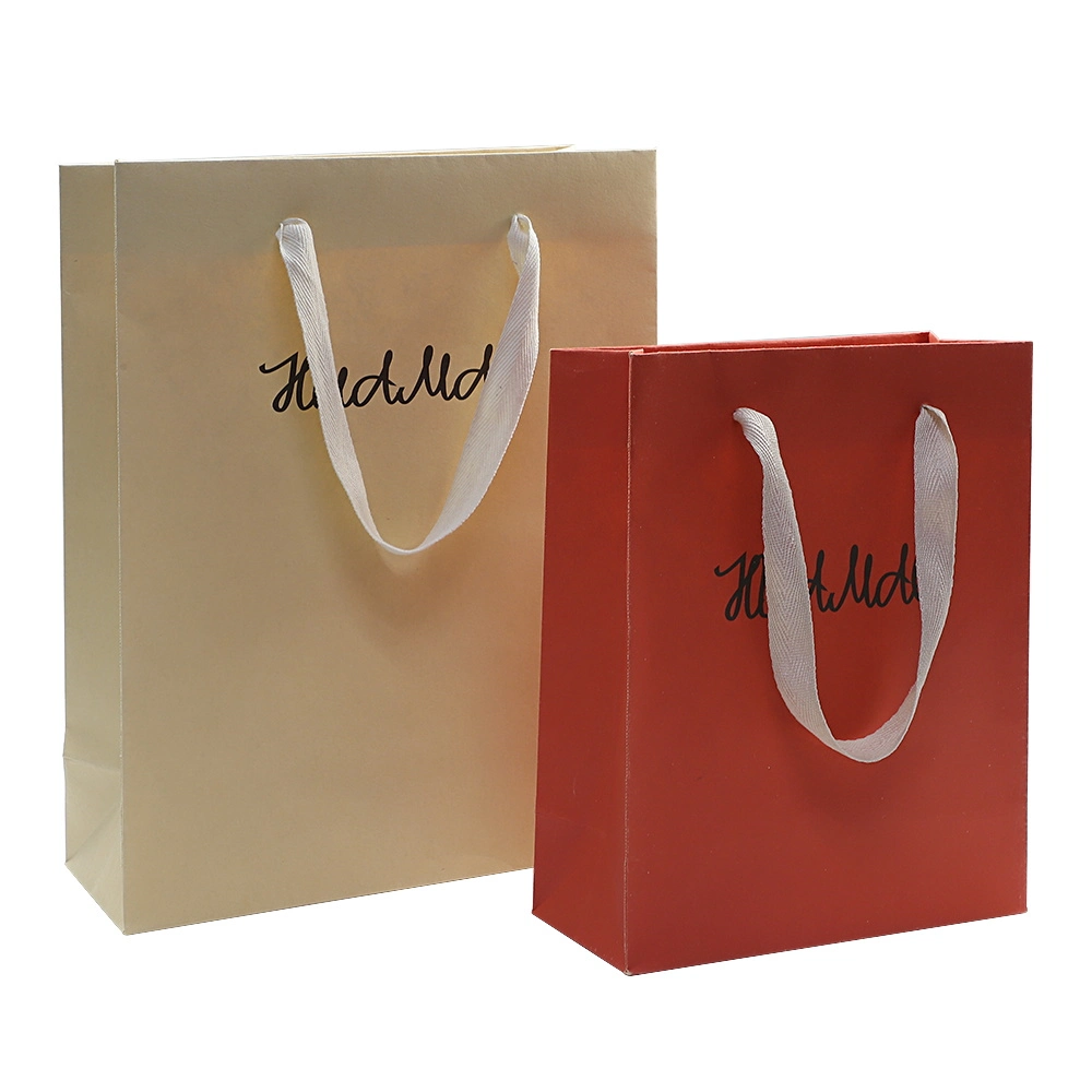 Promotional Printed Paper Gift Packing Bag for Shoes Foods