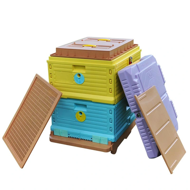 Cajas de Abejas de Miel de Abejas de plástico aisladas para la venta