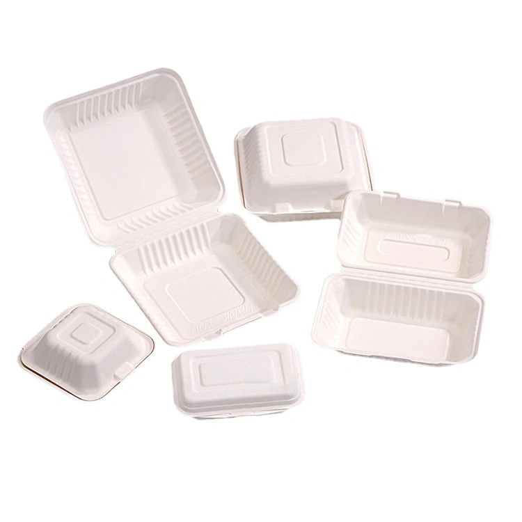 8" 3 compartimentos Clamshell desechable degradable Sugarcane bagasse Kitchen Ware Vajilla Alimentos biodegradables Cubertería de comida de China