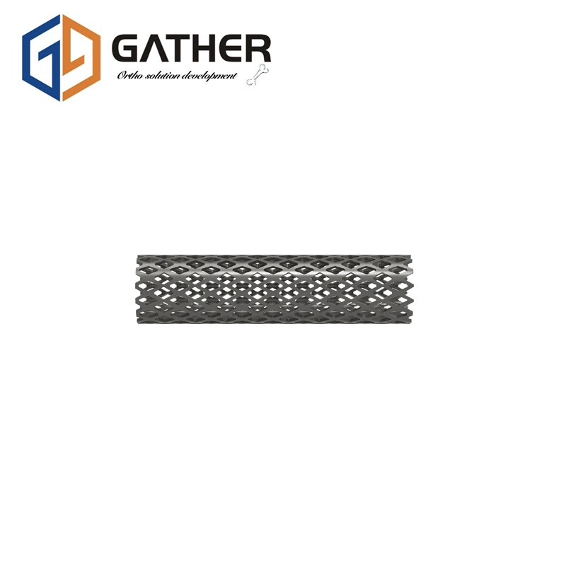 Jiangsu Titanium Gather Sterilized, PE Bag, Carton Package Double Thread Spinal Screws