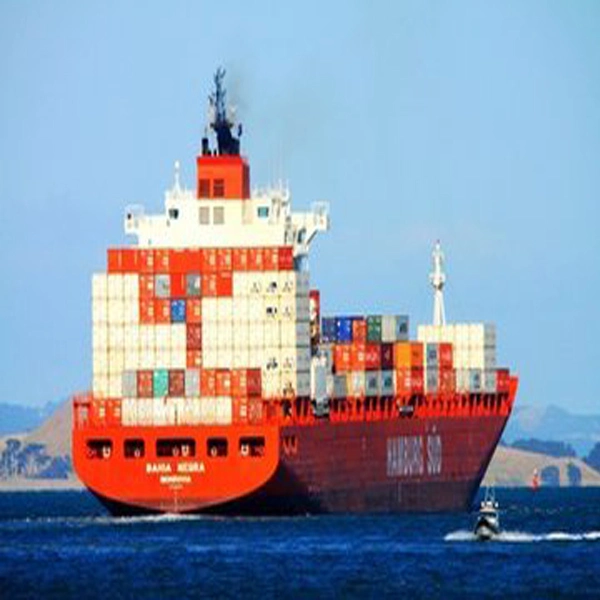 Professional Sea Forwarder Specailizing in Laredo, Tx, USA