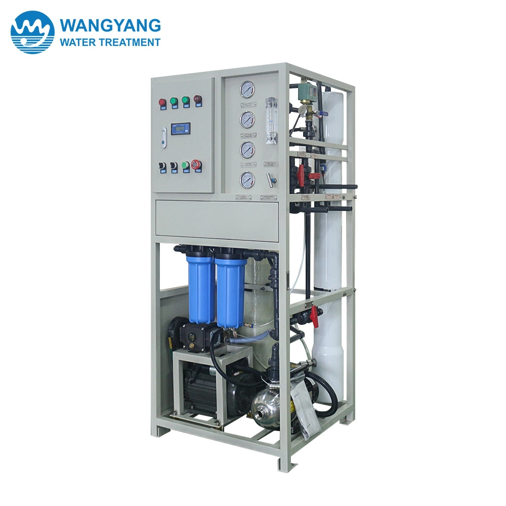 3tpd Small Auto Flushing Seawater Desalination Equipment in South Africa