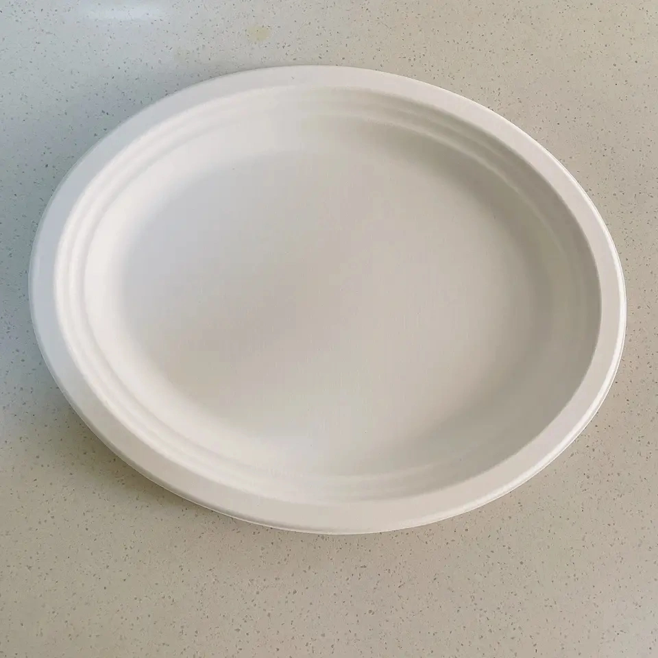 Disposable Sugarcane Bagasse Plate Tray Natural/White Color