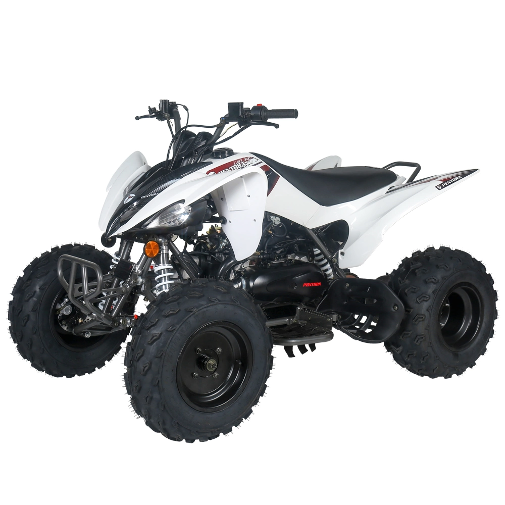 Four Stroke 125cc ATV off Road Sport Quad Bike