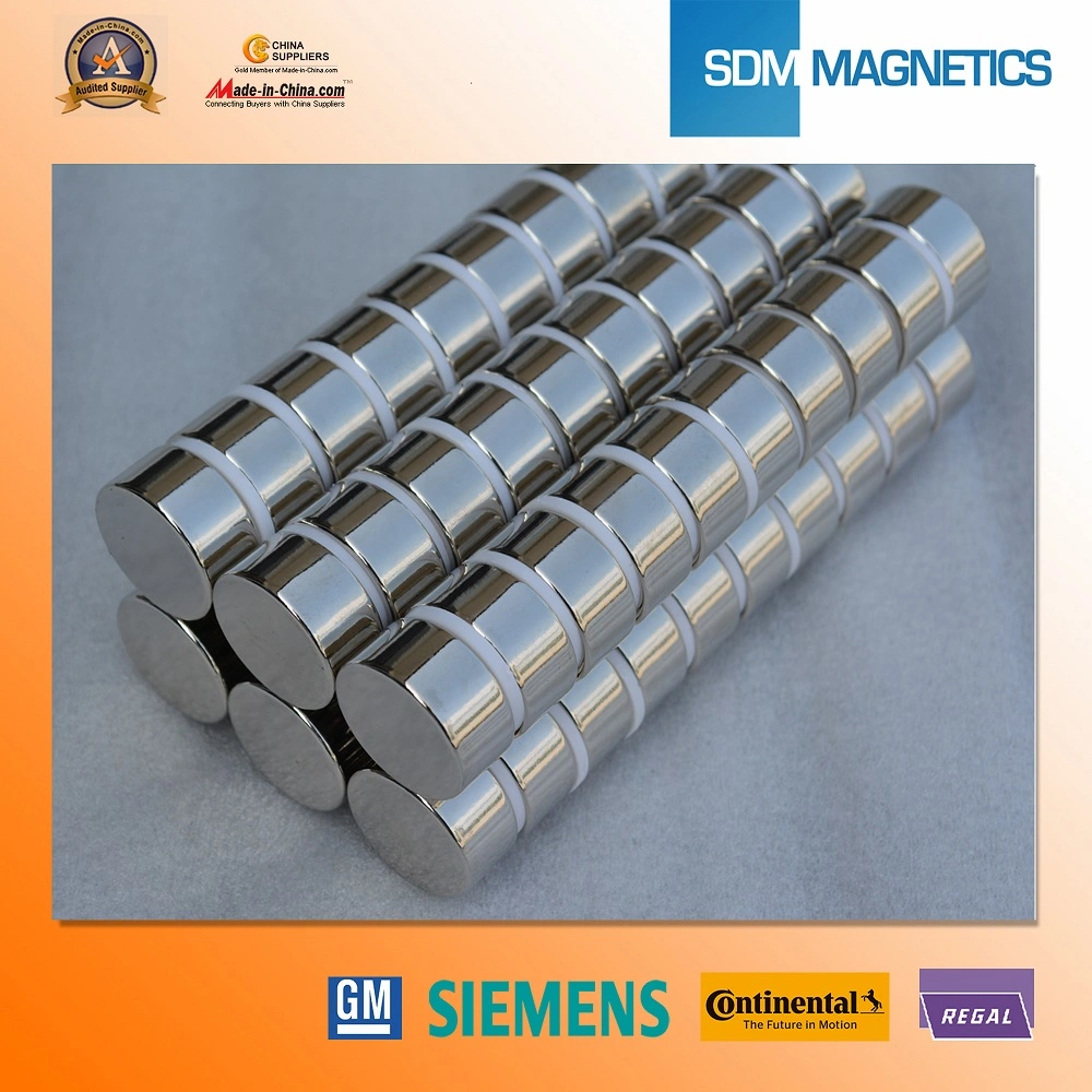 ISO/TS16949-zertifizierter Geschwindigkeitssensor-Magnet in Motorrädern