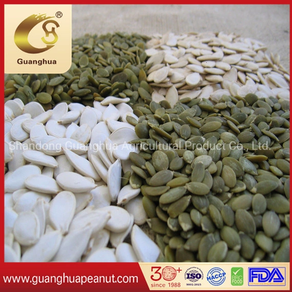 Top Rated New Crop 2022 Shine Skin Pumpkin Seed Kernels AAA