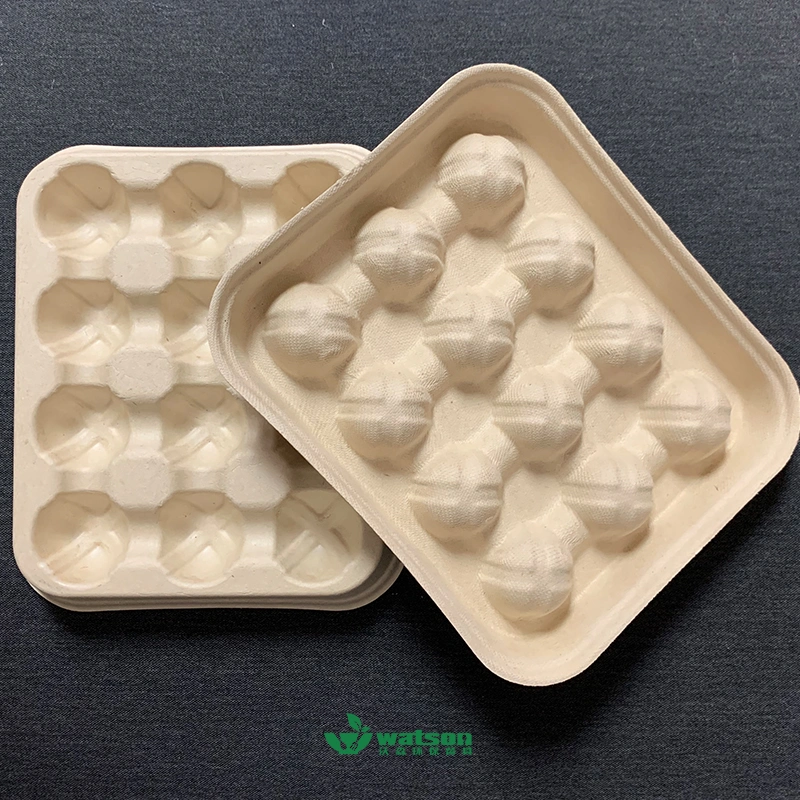 100% Eco Friendly Sugarcane Bagasse Disposable Food Fruit Vegetable Bayberry Packaging Box 12 Holes Food Tray for Strawberry Trays with Pet Lid