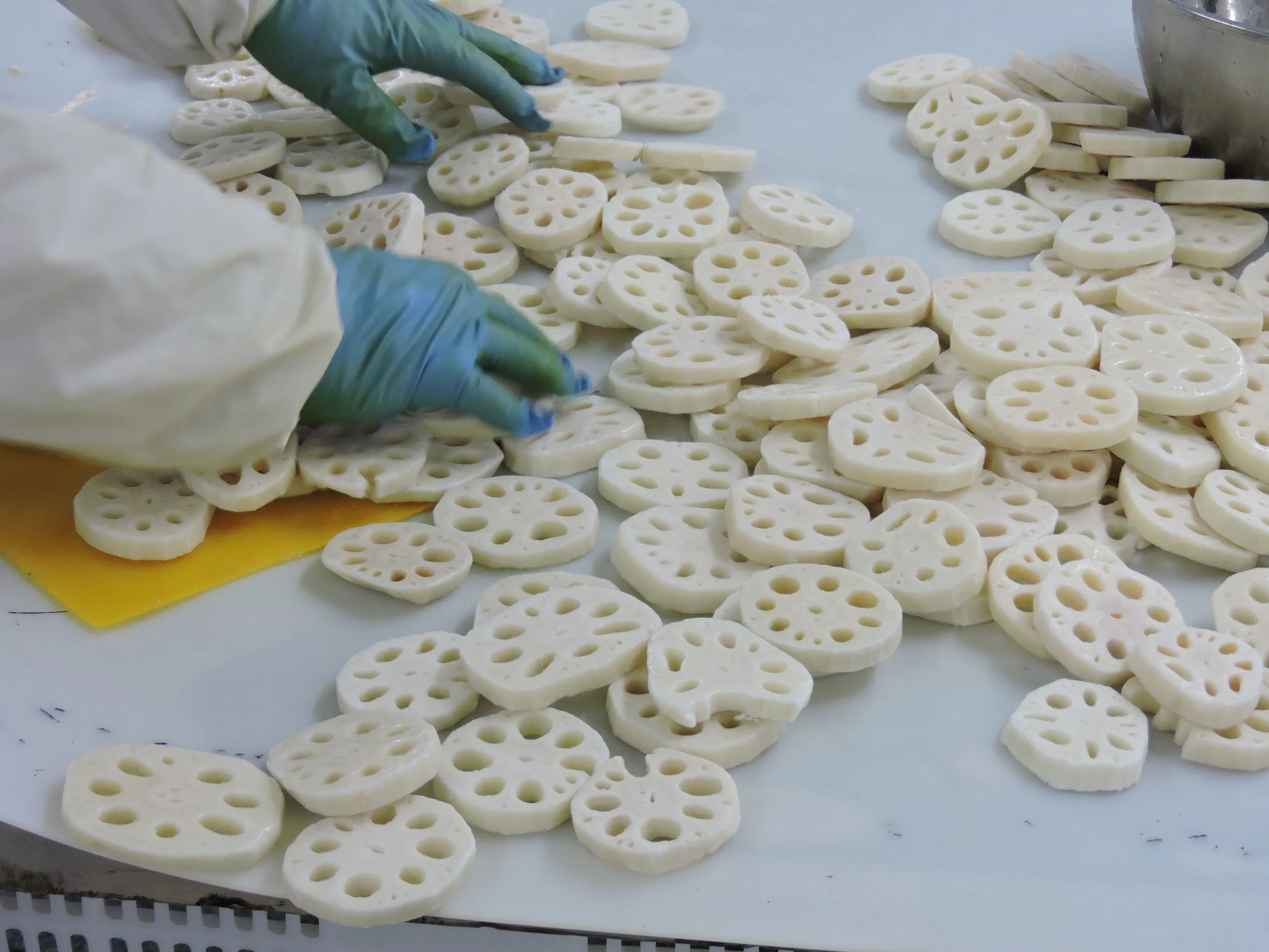 Frozen Lotus Root Frozen Vegetable