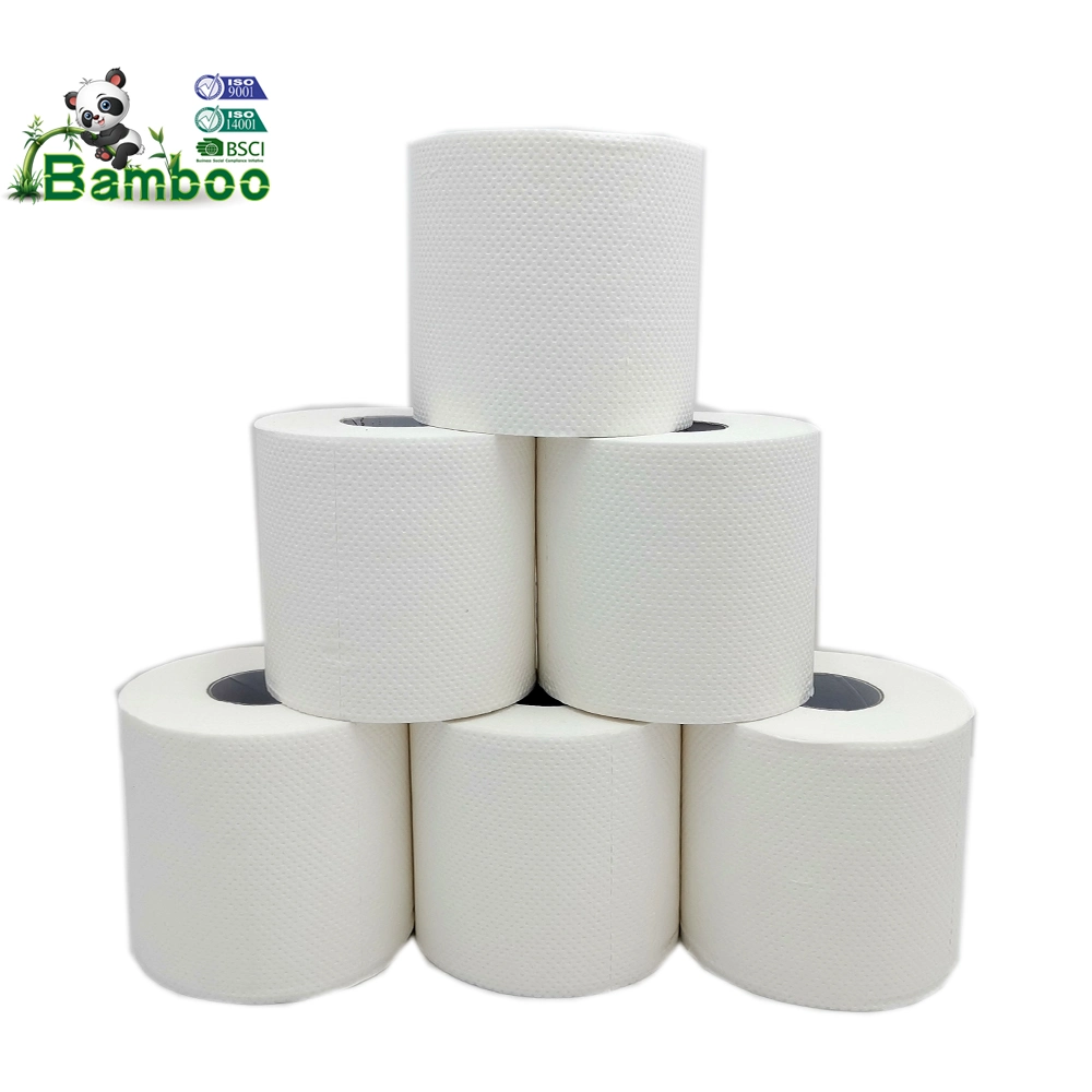 Hot Sale China Bamboo Manufacture Best Biodegradable Toilet Paper Coreless Roll