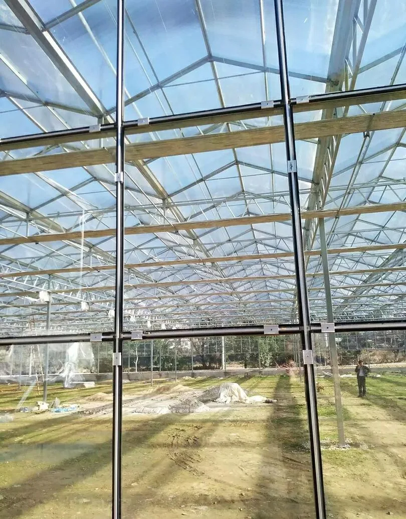 El bastidor de acero galvanizado comercial Cristal de la casa verde de frutas y verduras