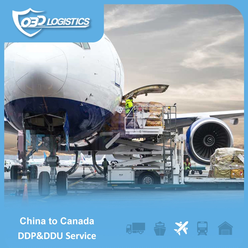 Quick Express Service Top DHL Agent in China nach USA/Kanada/Mexiko/Guatemala