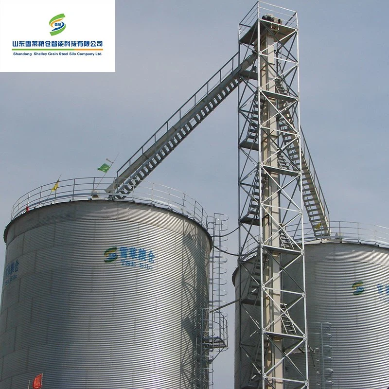 Durable Grain Bucket Elevator Machine for Grain Seed/Grain/Plastic Granular for Loading System