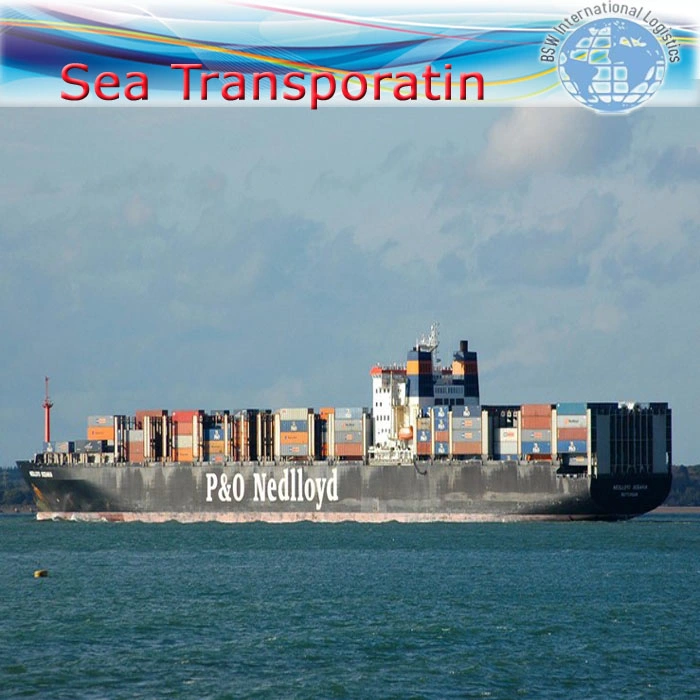 Cheapest Ocean Shipping International Freight Forwarder Freight to Sea Fright From China to Australia