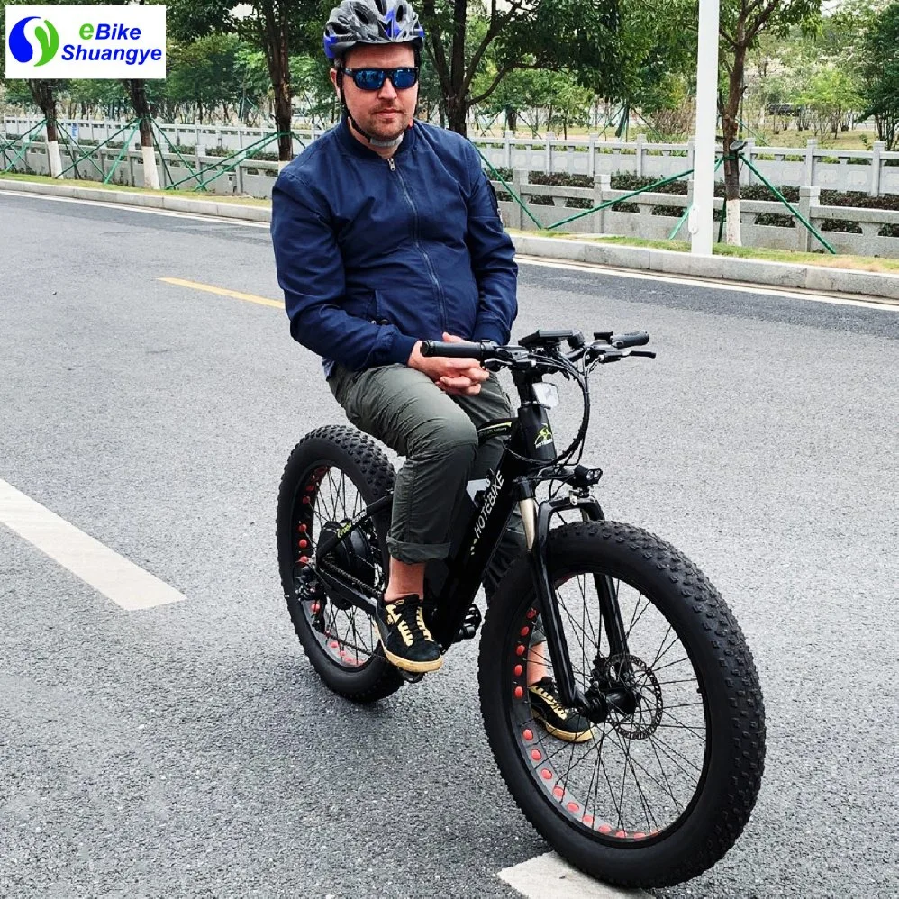 251-350W Shuangye or Hotebike We Use Thick Carton Electric Tricycle Bike with CE