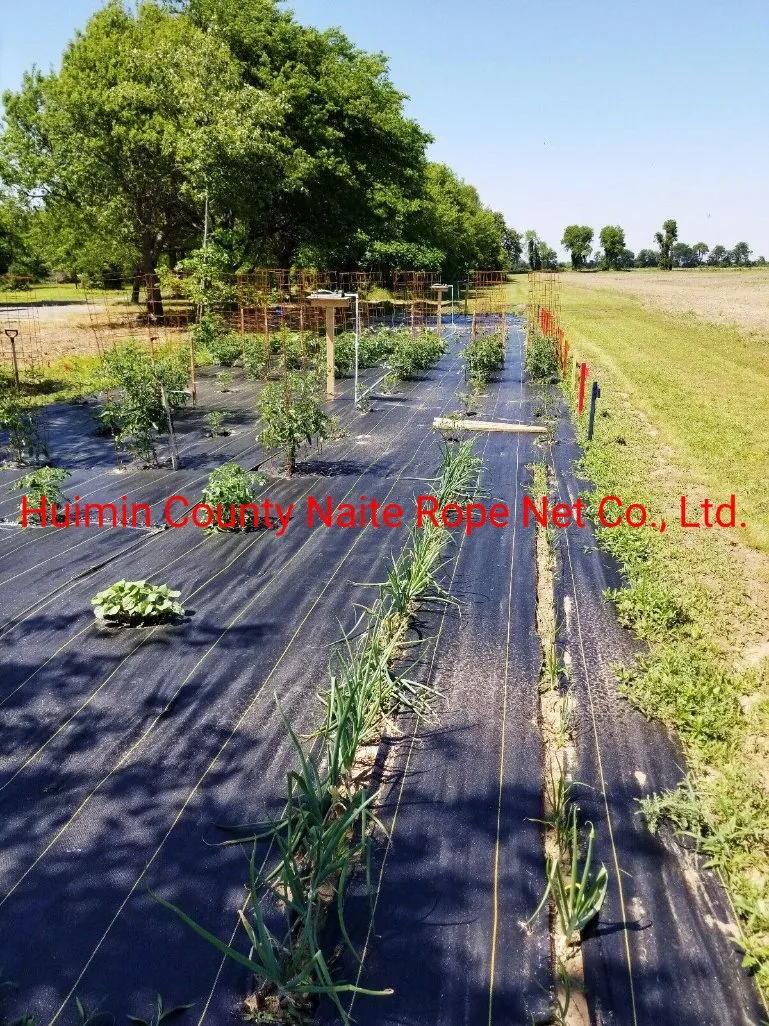 Geotextile PP Agricultural Landscape Anti Weed Control Mats Ground Cloth Screen Cover