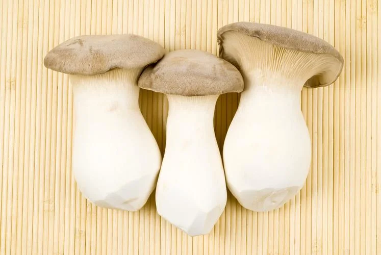 Natural Nutrients Sliced Dried King Trumpet Mushroom