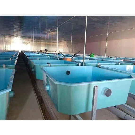 Original Fiberglass Aquarium for Sale Large Fiberglass Fish Tanks