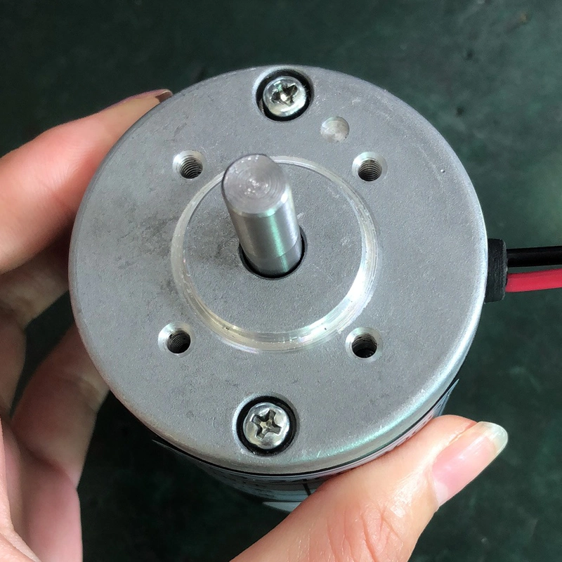 Permanenter, bürsteter 60W 12V-DC-Motor mit hoher Drehzahl, 3000rpm Motor Für Küchenmaschine