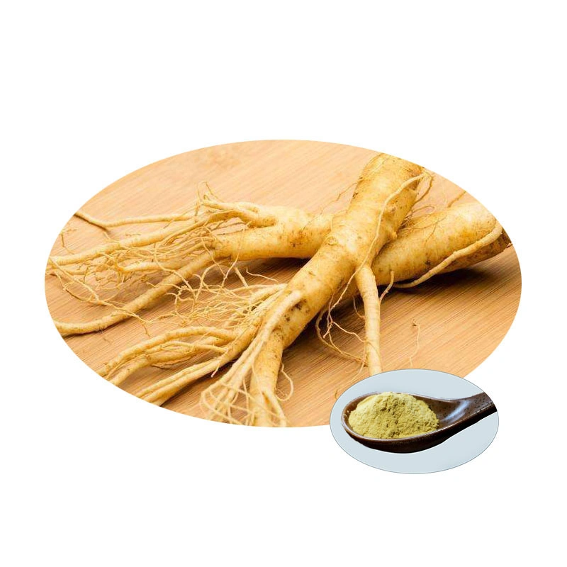 Panax ginseng Ameirican Halal Extracto 10 y 80% de Extracto de Raíz de Ginseng siberiano muestra gratuita de polvo de Extracto de Ginseng Coreano