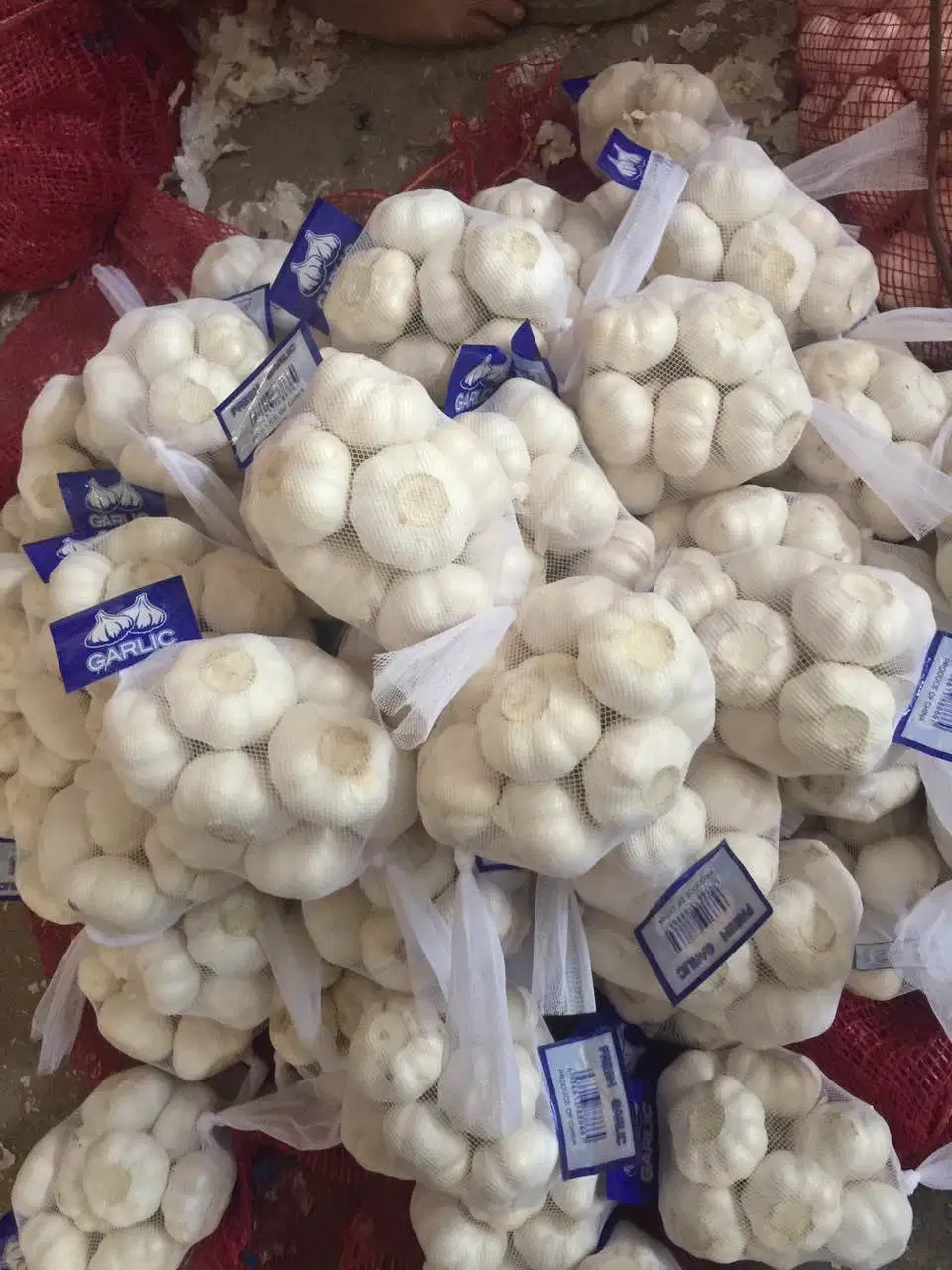 New Crop China White Garlic in Small Package