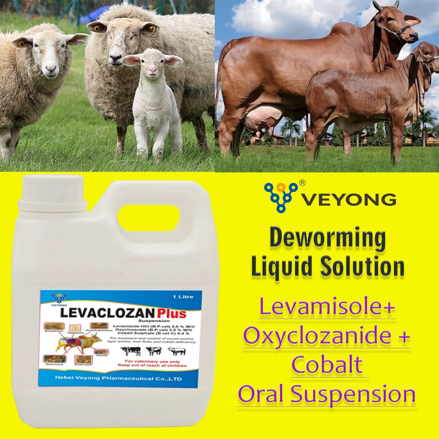 Original Factory Supply 3% Levamisole Hydrochloride +6% Oxyclozanide Solution