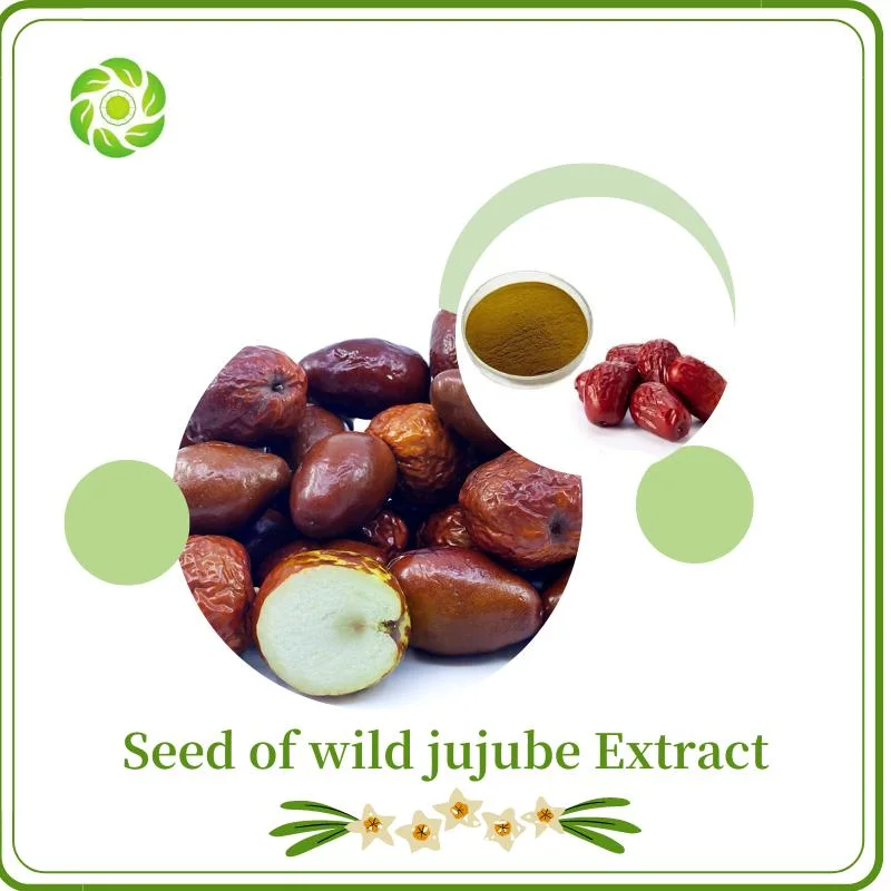 World Well-Being/Plant Extract/Saponins 2%-50%/Seed of Wild Jujube Extract/Spina Date Seed Extract