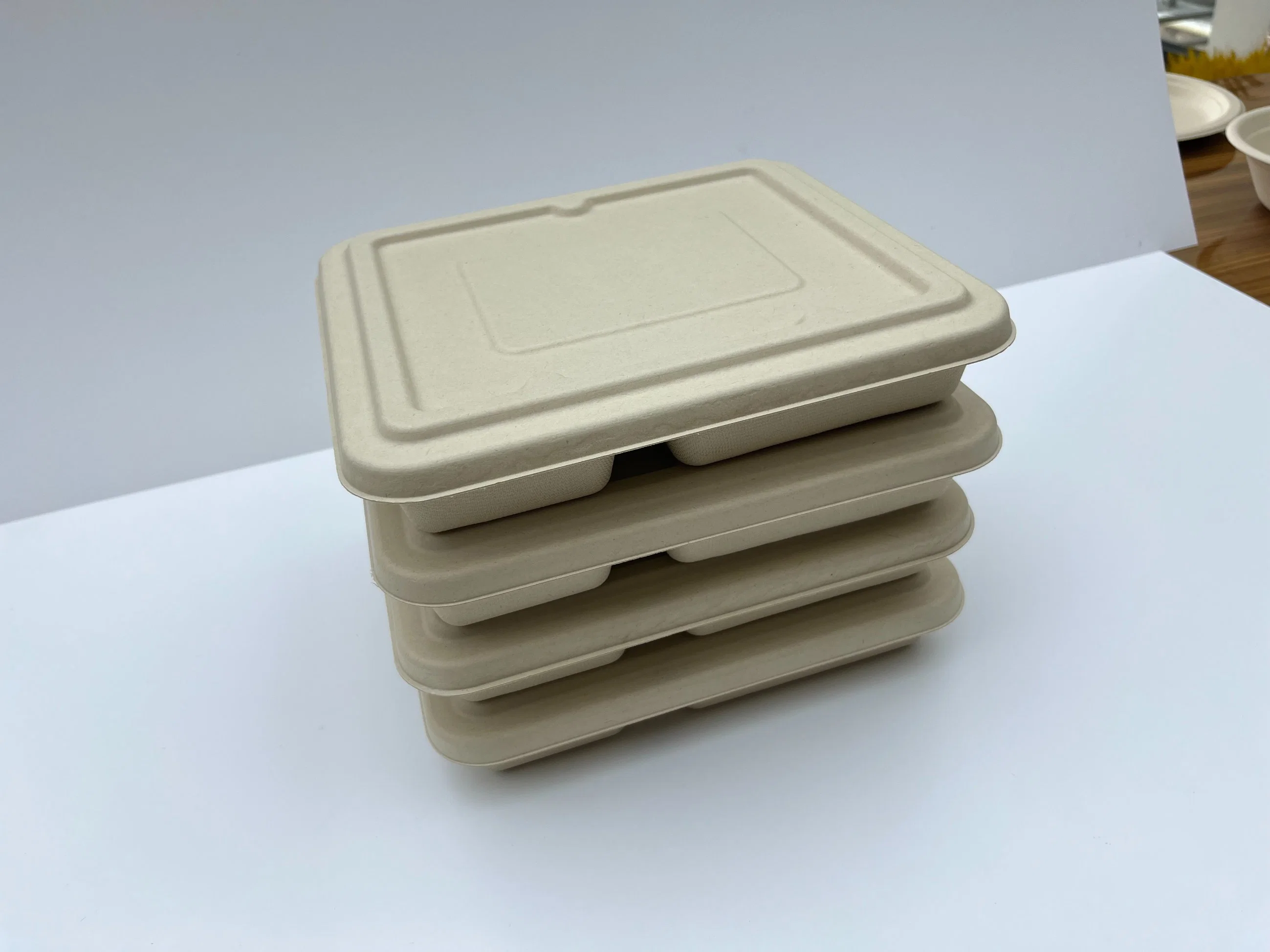 Two Component Bagasse Lunch Box Takeaway Degradable Lunch Box Biodegradable