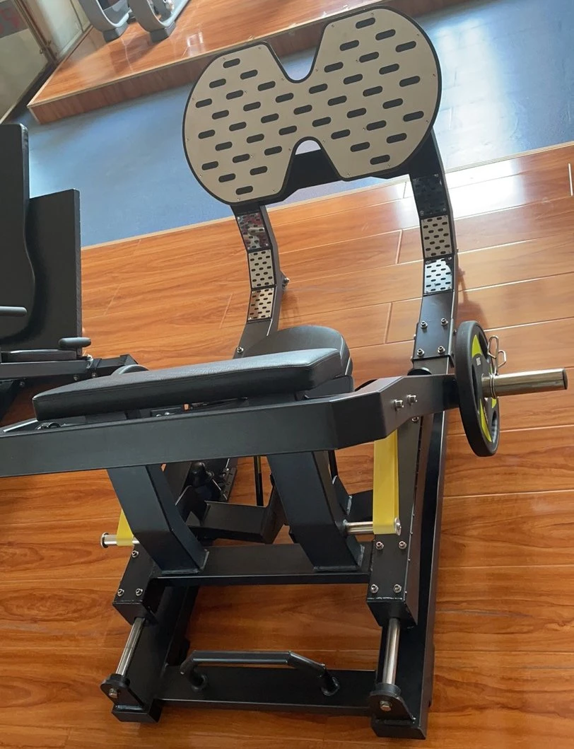 New Product Hot Sale Glute DIP Machine for Gym (AXD-N17)