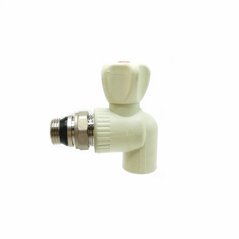 Customized China Iron&Brass Through Radiator Valve Manufacturing Sanitary Fitting with Factory Price