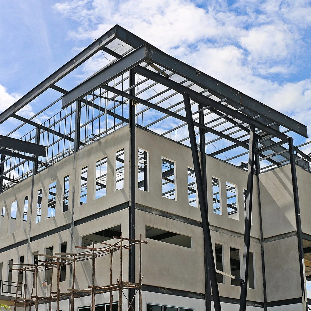 Customized Steel Frame Structure Single-Family, Conjoined Villas