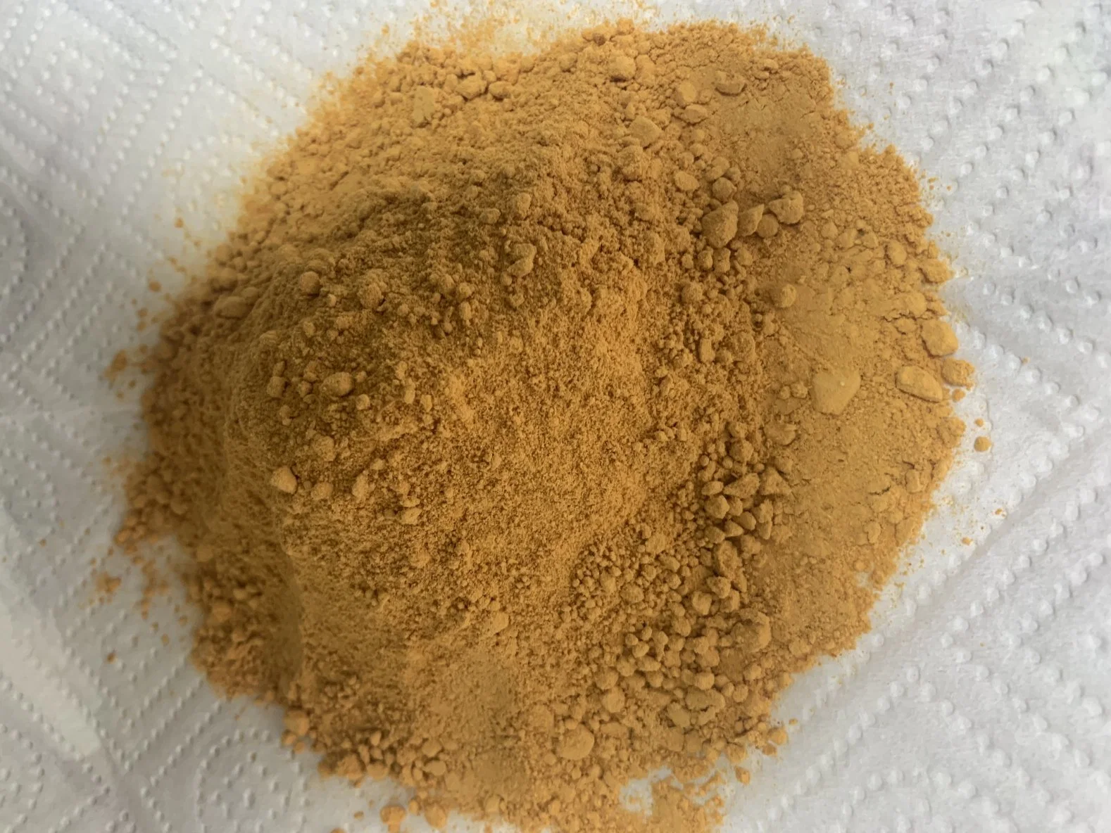 Factory Price of Health Care Products Cordyceps Sinensis Powder