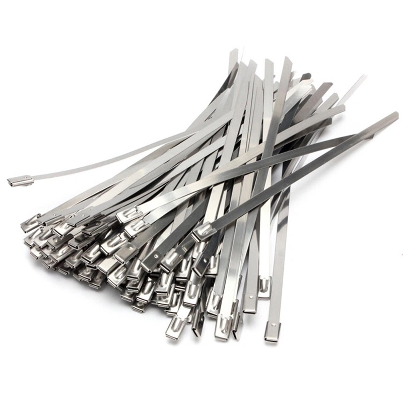 All Kinds of Stainless Steel 304 316 Cable Ties